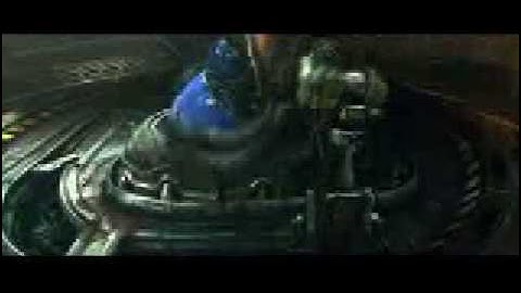 1cdkey.com/Starcraft cd key