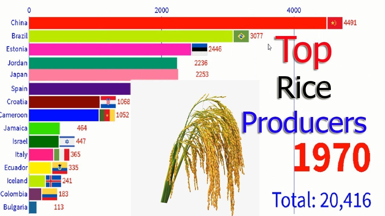 Top Rice Producing Countries (1966 2024) YouTube