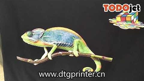 How to print on film and transfer picture onto T-shirt with Todojet DTG printer