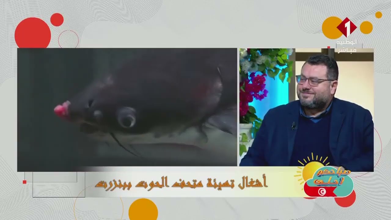 صفوان بن عيسى رئيس جمعية صيانة مدينة بنزرت تهيئة متحف الحوت ببنزرت