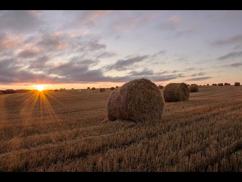 01 Жанна Бичевская - Заночую в стогу