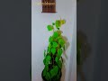 Home decor ideas #shorts #viral #trending #reels #shortsfeed #instagram #diy #home #decor