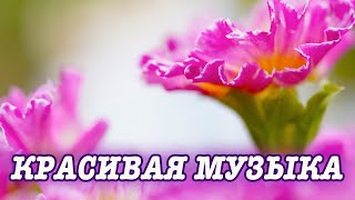 КРАСИВАЯ МУЗЫКА, Расслабляющая музыка для сна, медитации и борьбы со стрессом