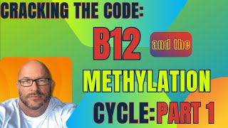 Cracking the Code: B12 and the Complexities of Methylation Profile