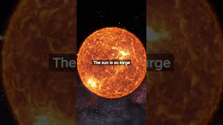 You Won’t Believe These 5 Amazing Facts About God’s Creation!