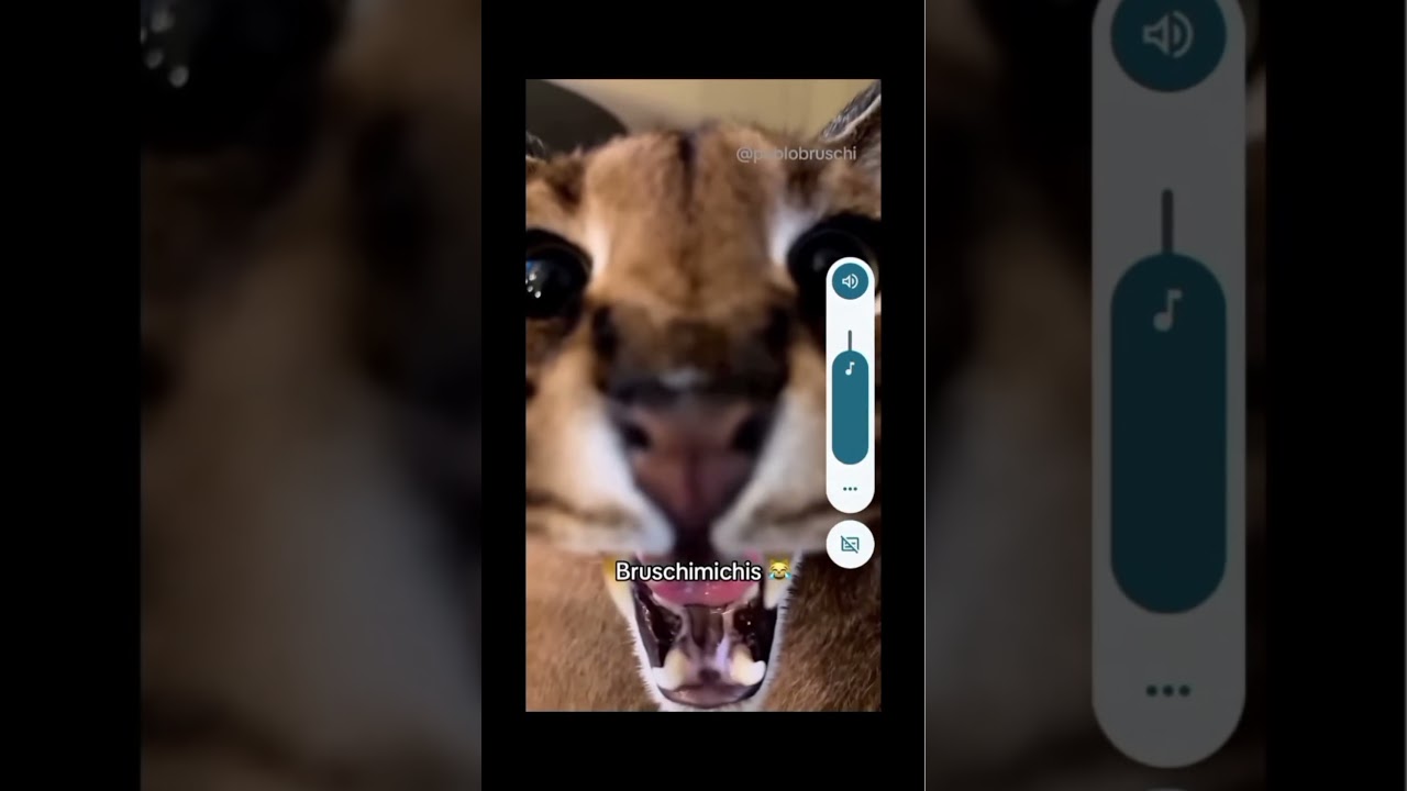 spring editor test squared