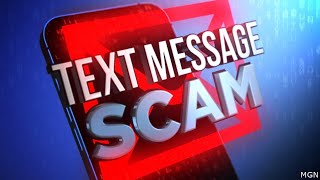 Victim of phishing scam speaks out against fake outstanding traffic tickets