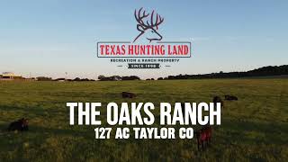 127.54 Acres For Sale in Taylor County TX | The Oaks Ranch with Home, Pool, Barns and Stock Tanks