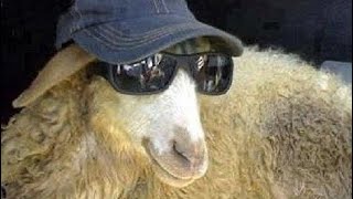 YKS’ye son 100 gün kala yeni bir başlangıç 🥳 #yks #yks2026 