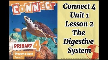 Connect 4 / Unit 1 / L 2 The Digestive System منهج كونكت للصف الرابع الوحده الاولى الجهاز الهضمى