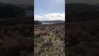 Langsett Reservoir in the Peak District
