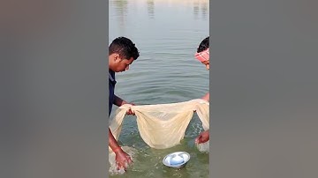 how to check plankton in pond #zooplankton #fishinfo