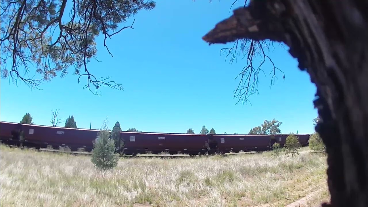 MRL004, 4902 ???? C507 loaded grain through Turrawan