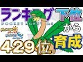 【ポケモンUSUM】ランキング下位から育成３４トロピウス【４２９位】