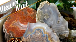 These Rocks Will BLOW YOUR MIND | World Class Gemstones, Fossils, & More  Coffee & EPIC Viewer Mail