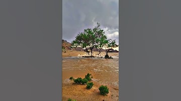 القارئ : أنس المالك  بريدة القصيم #مكة #اكسبلور #المسجد_الحرام #المصحف #تيك_توك #الشيخ