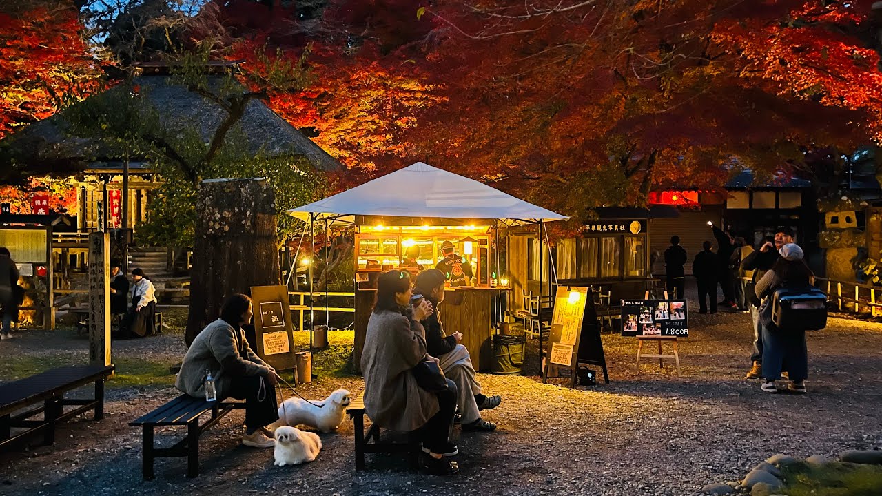 紅葉の🍁平泉・毛越寺・中尊寺ライトアップ スライドショー　2025年11月8日