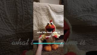 Lol Elmo Warp Scan