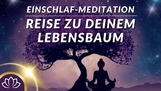 Befreie dich von altem Ballast & öffne dich Neuem 🌱 Meditation zum Einschlafen