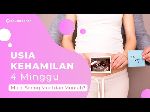 Video: 4 Minggu Hamil - Apa Yang Terjadi Pada Janin? Sensasi, Sakit Perut