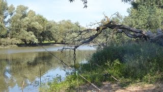 Рыбалка||Крупный Карась||Краснодарский Край