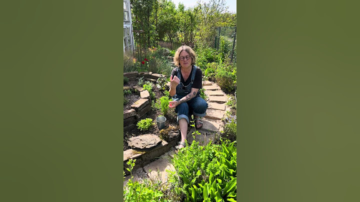 Kräuterspirale DO'S and DONT'S #gartentipps #gardenhacks #kräuter #herbs #gardenhack