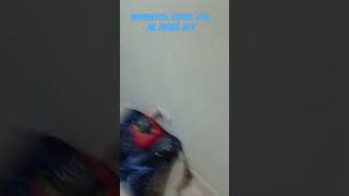 mi. prima. está. loquis. parse