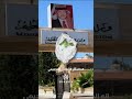 27 مرحلة لضمان حق كل طالب في التوجيهي