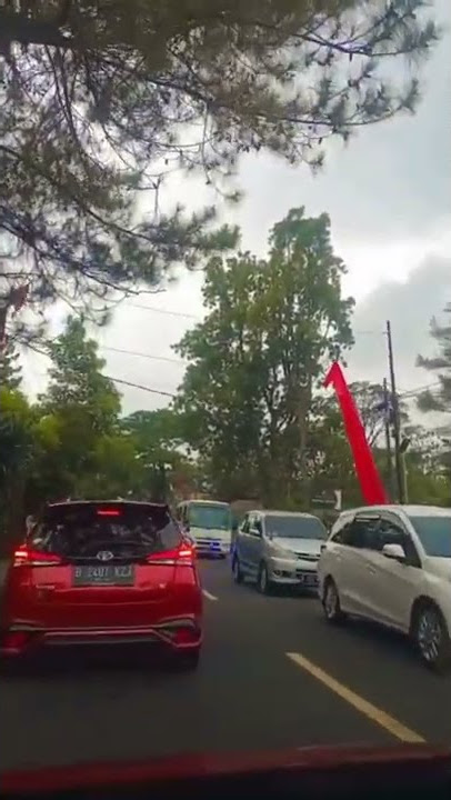 Situasi arus mudik jalur puncak Bogor #trending #viral #shorts #shortvideo  #status #videos