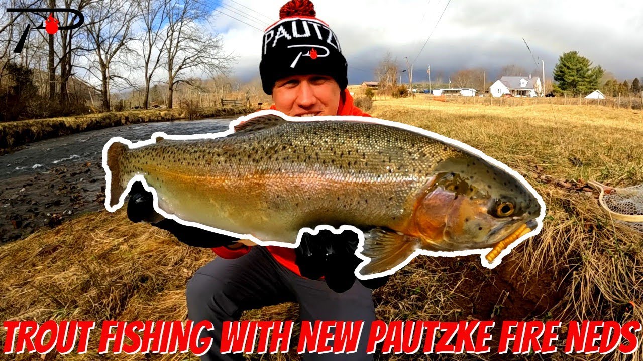 Trout Fishing With New Pautzke Fire Neds 