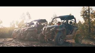 Oporto Buggy Experience Tour | Feel Porto Experiences