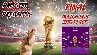 World Cup 2022 FINAL! Argentina vs France | Will Messi be a champion? [Animal football Prediction] by Have you seen my hamsters? 730 views 1 year ago 2 minutes, 11 seconds