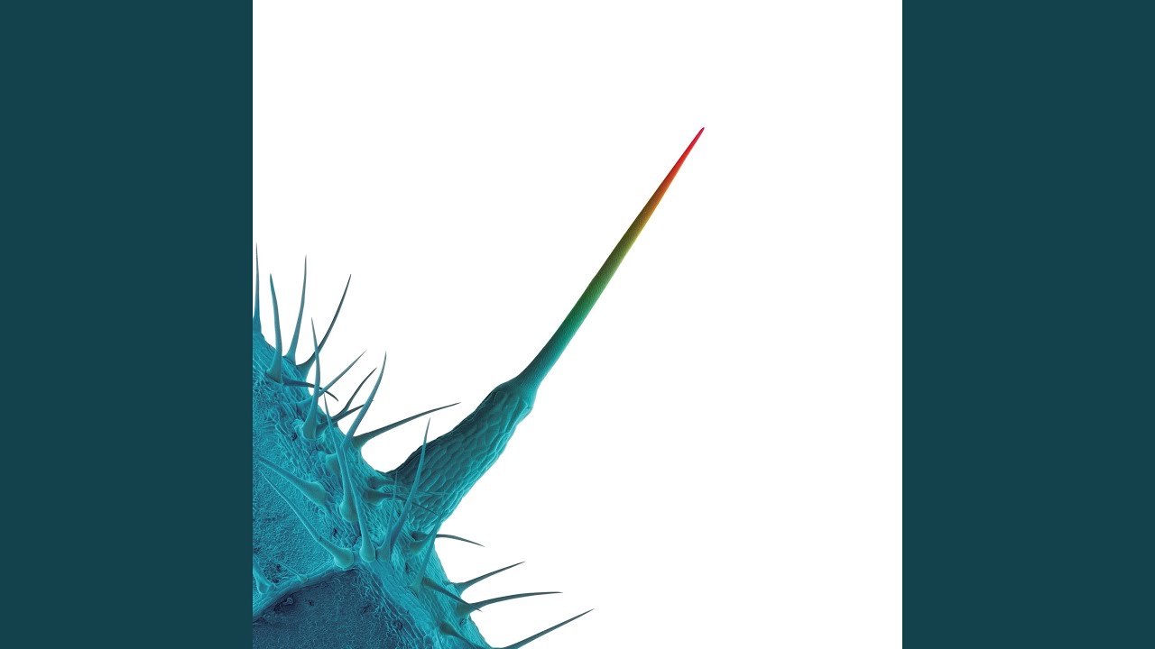 Tonton Not One Of Us di YouTube Tonton Not One Of Us di YouTube