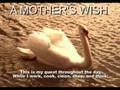 Listen to a mothers voice  a mothers wish inspirational poem