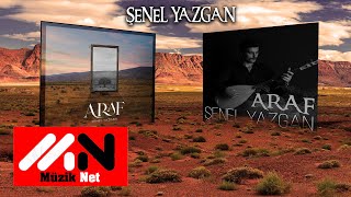 Şenel Yazgan - Araf  Resimi