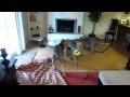 Dog Boarding: Cage-Free Pet hotel, Sacramento CA Dog Boarding: Cage-Free Pet hotel, Sacramento CA