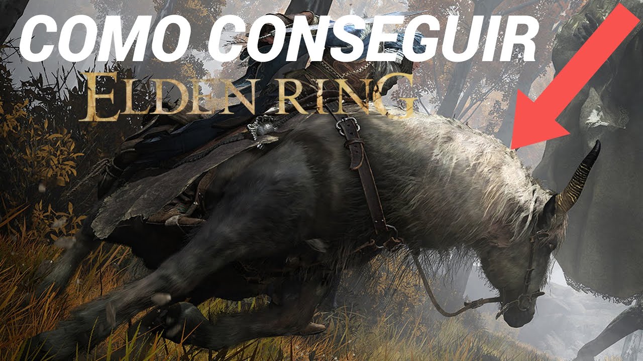 COMO PEGAR O CAVALO NO ELDEN RING 2023 - YouTube