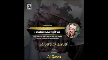 الشيخ عبدالباسط عبدالصمد رحمه الله . مقطع رائع جداً من سورة ╮ القصص ╭ .
