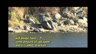 North Coast Redwoods District: Humboldt Lagoons State Park