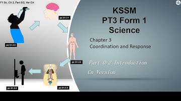 KSSM Form 1, Science, Ch 3 Coordination and Response, Part 0/2, 中文