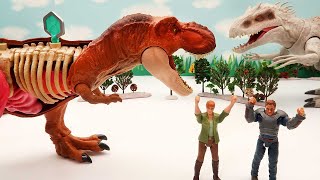 Dinosaur Battle Video - T-Rex VS Indominus VS Pteranodon. Dinosaur Anatomy Set