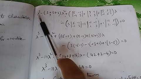 Cayley-Hamilton theorem and problems