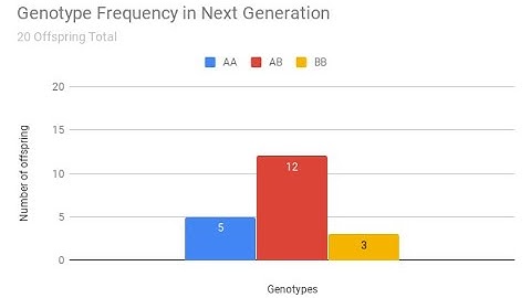 Hardy Weinberg Lab Spreadsheet