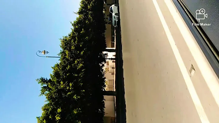 Ayman Taha vlogn