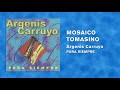 Argenis Carruyo - Mosaico Tomasino