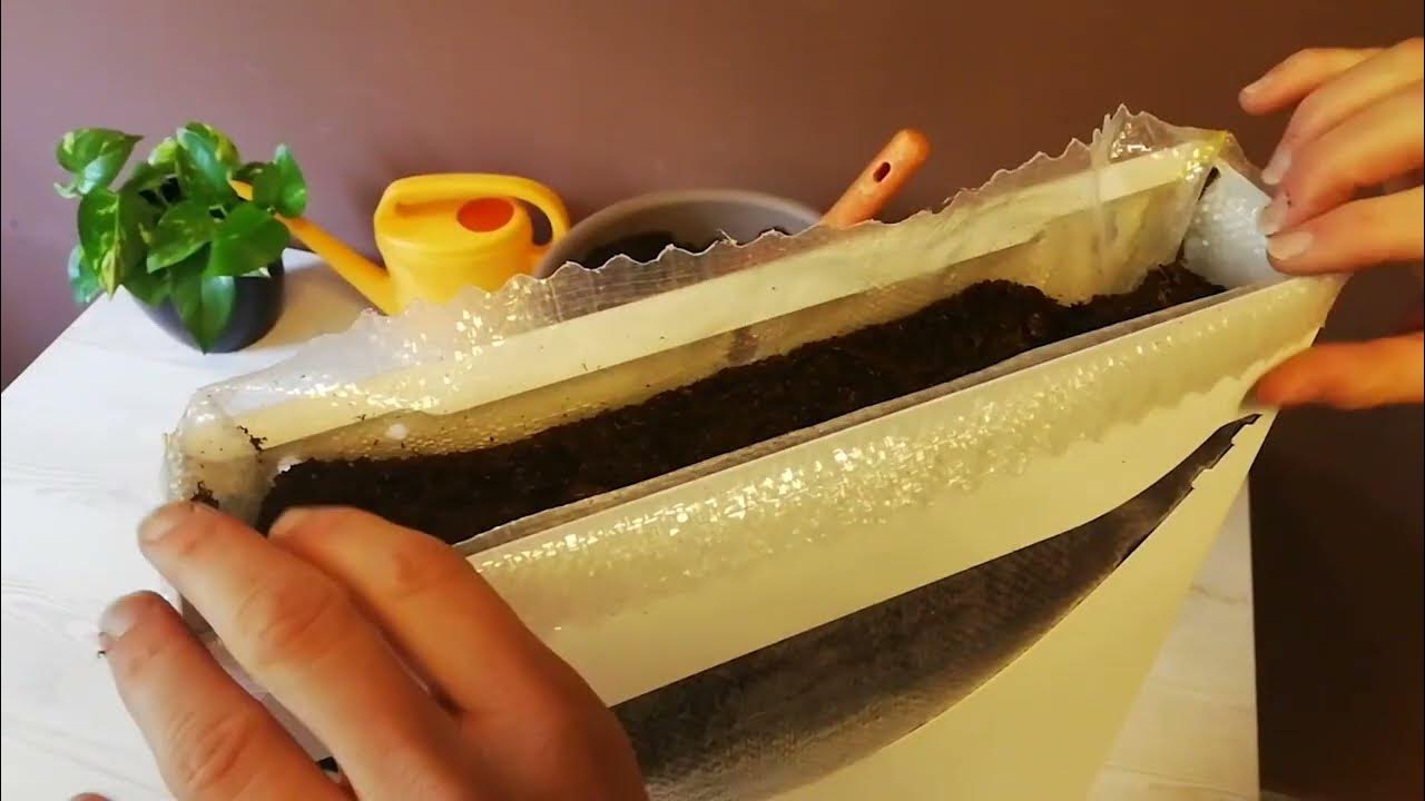 How to assemble ELIoT living wall YouTube