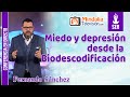 Miedo y depresión desde la Biodescodificación, por Fernando Sánchez