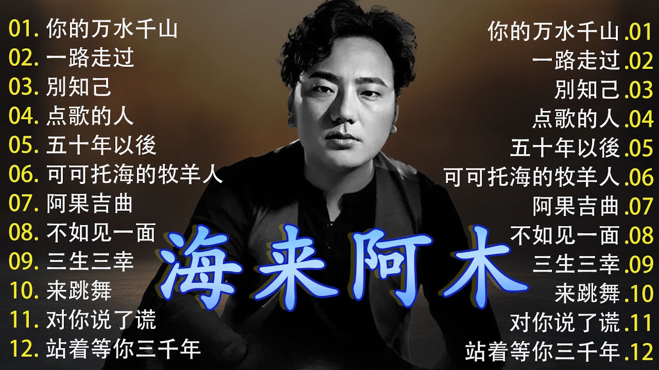 💖 海来阿木 Hailai Amu 【動態歌詞Lyrics】:《你的万水千山》《一路走过》《別知己》《点歌的人》|华语伤感精选|超火抖音热歌 ...