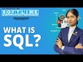 📊 Master SQL & Basic Database Management with Kareena Ma’am! 💻