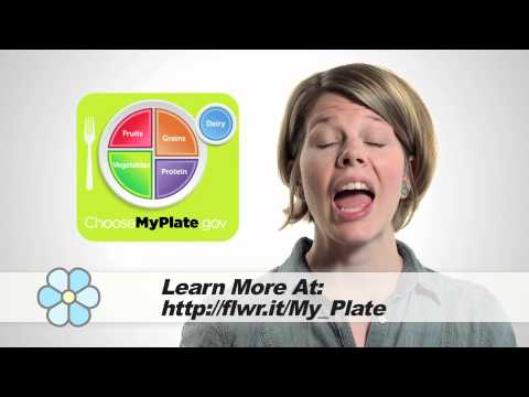 Learn about MyPlate